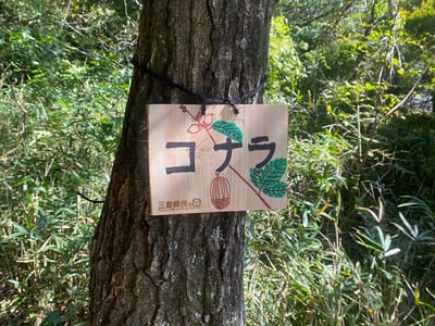 木の名札をつくって、つけてみよう！