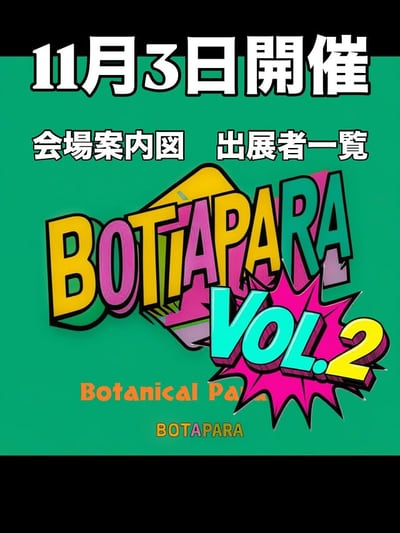 BotaPara Vol. 2
