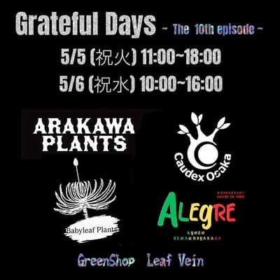 Grateful Days 〜 The 10th episode 〜
