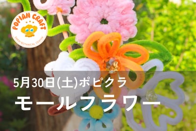 ポピクラ「かわいいモールフラワーをつくろう！」