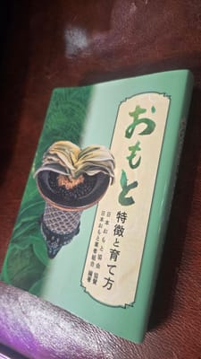 行ってきましたレポの写真 4