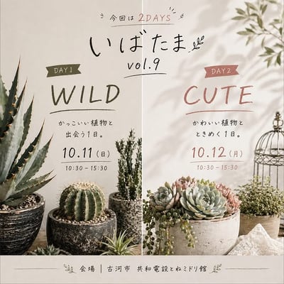 いばたま vol.9