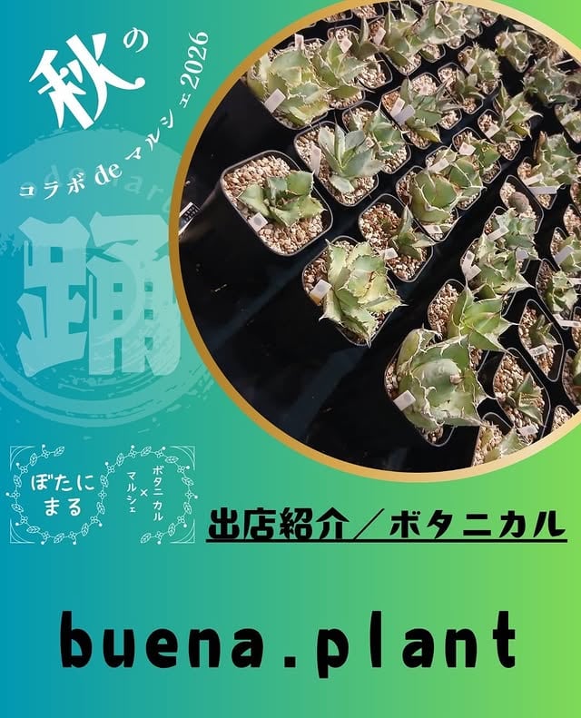 秋のコラボde マルシェ 2026