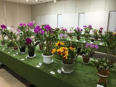 宇部市芸術祭 ラン展