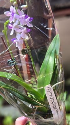 行ってきましたレポの写真 2