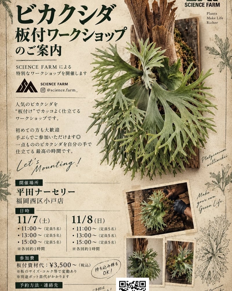 Kusa paradise in hirata nursery