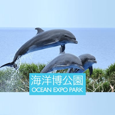 SUP・スタンドアップパドルボード体験会