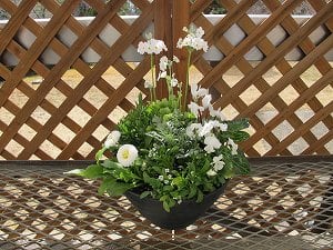 ２月の寄せ植え教室