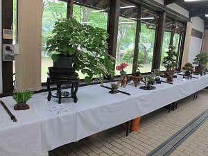 第24回 緑和会盆栽展
