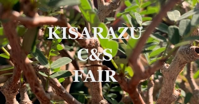 KISARAZU C&S FAIR