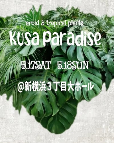 草パラダイス vol.5