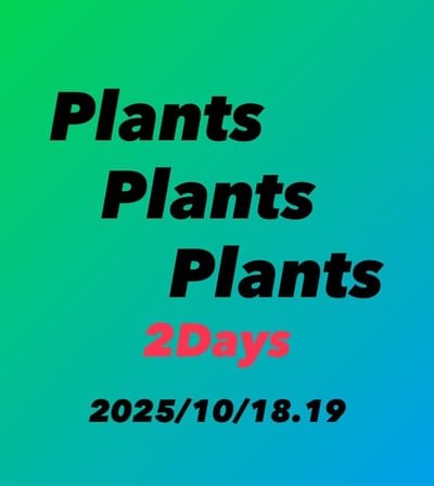 Plants Plants Plants
