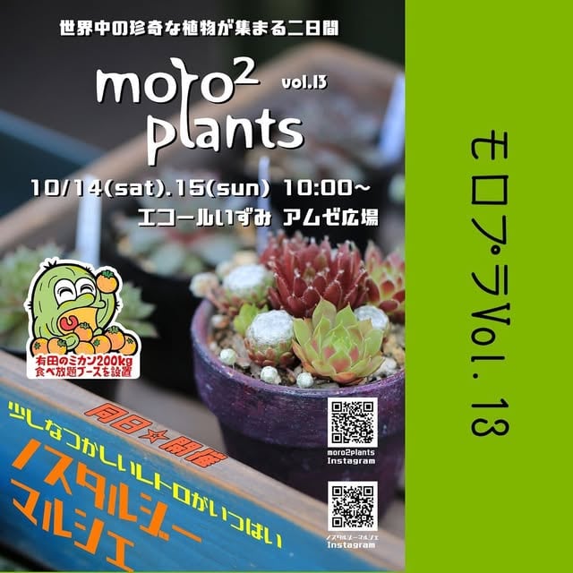 moro² plants vol.13