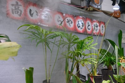 行ってきましたレポの写真 1