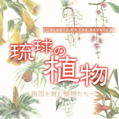 琉球の植物 ‐南国を育む植物たち‐