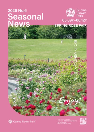 ROSE WEEK 春バラの見頃を楽しむ