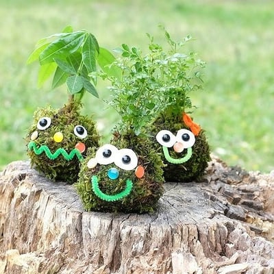 【予約制】観葉植物でオリジナルのこけだまを作ろう！