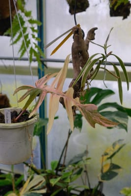 行ってきましたレポの写真 5