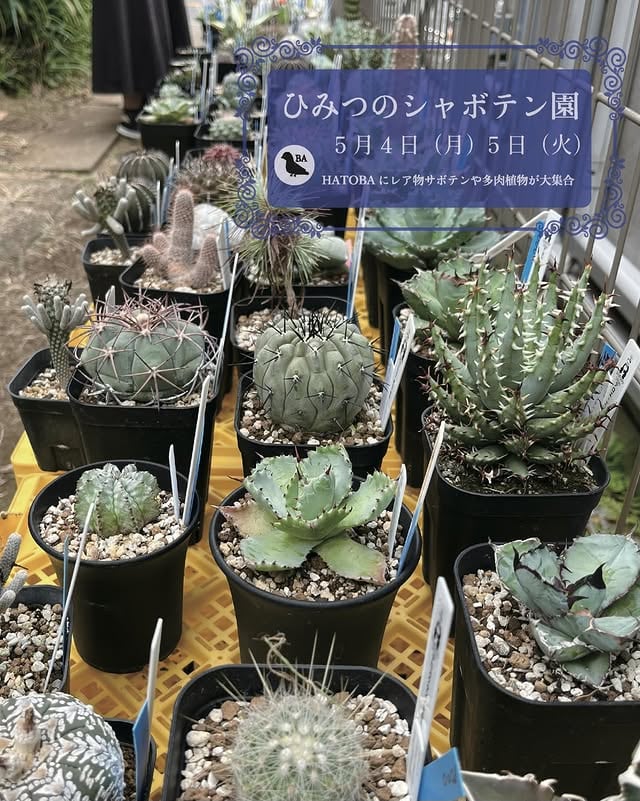 ひみつのシャボテン園