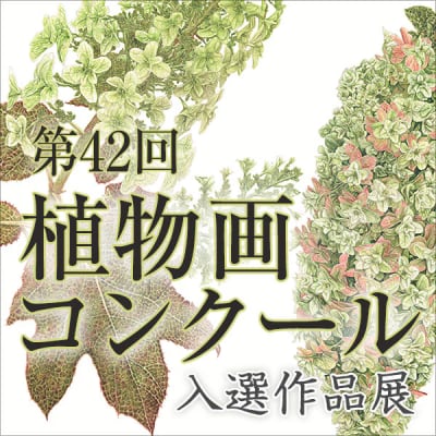 第42回植物画コンクール入選作品展