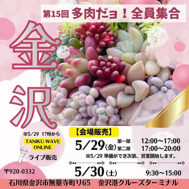 第15回 多肉だヨ！全員集合