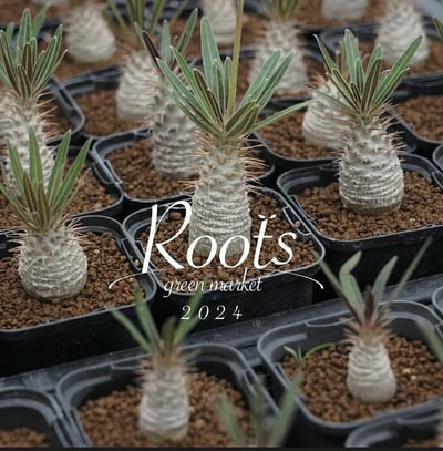 rootsgreenmarket