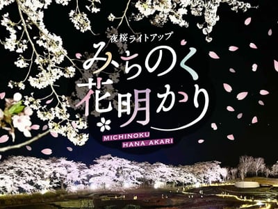 夜桜ライトアップ～みちのく花明かり～ イメージ画像1