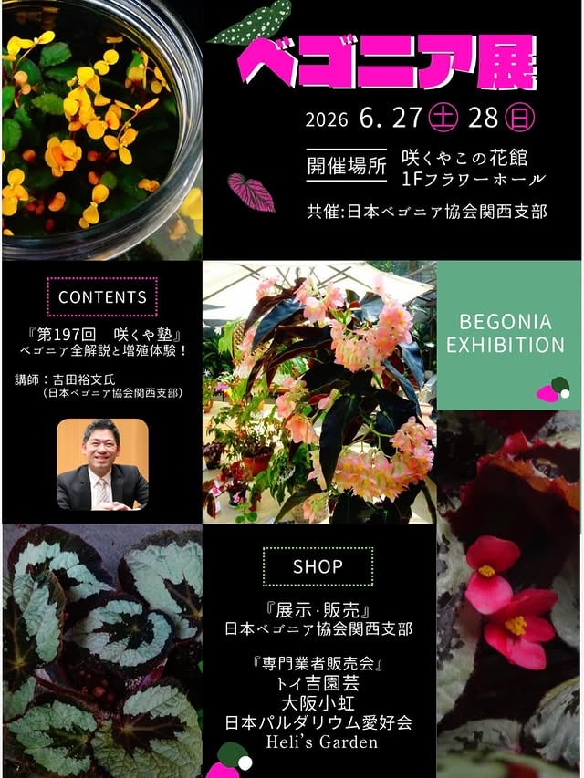 ベゴニア展