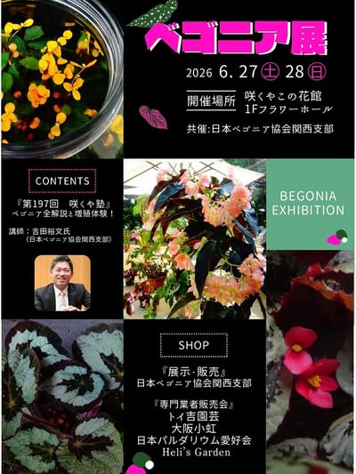 ベゴニア展