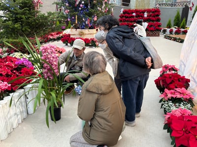 花と緑の教室「園内解説walk～冬に色づく植物たちをみにいこう！～」