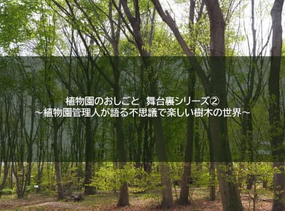 植物園のおしごと 舞台裏シリーズ② ～植物園管理人が語る不思議で楽しい樹木の世界～