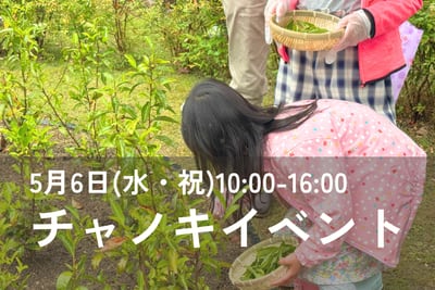 チャノキイベント