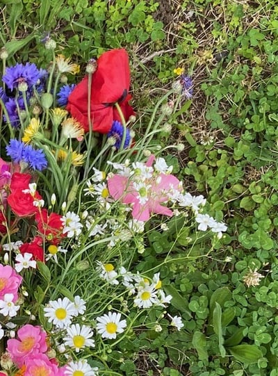 花と木の実のクラフト教室2026「植物を束ねる ハーブとお花のブーケ」