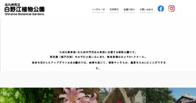 夜桜めぐりナイトツアー