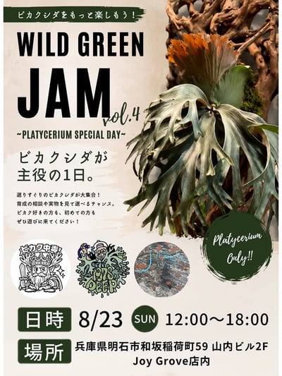 WILD GREEN JAM vol.4 〜PLATYCERIUM SPECIAL DAY〜