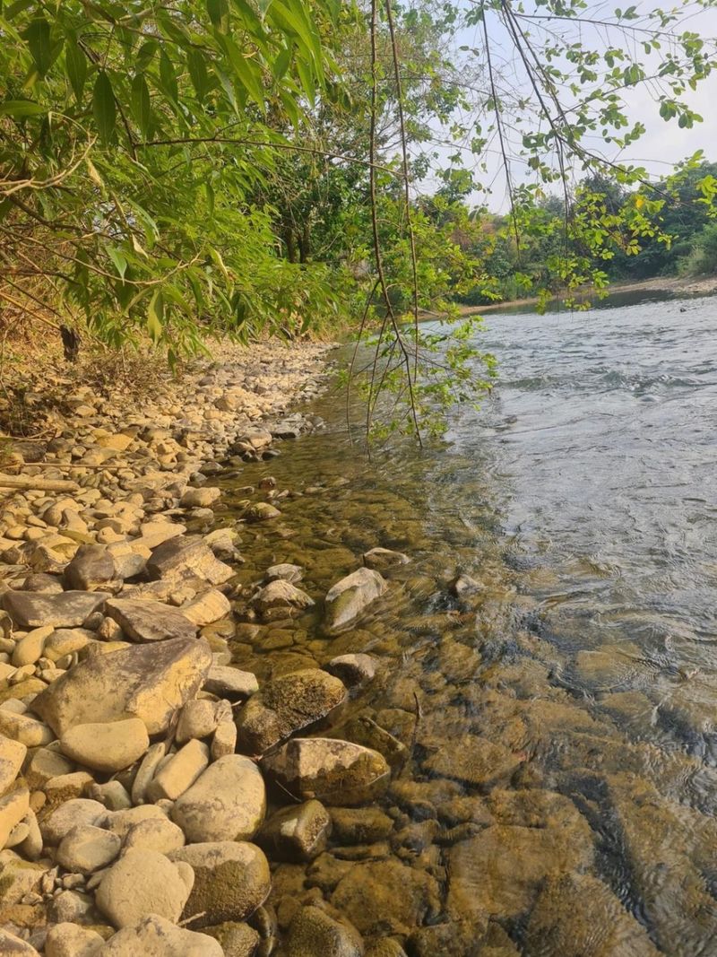 Slide 6