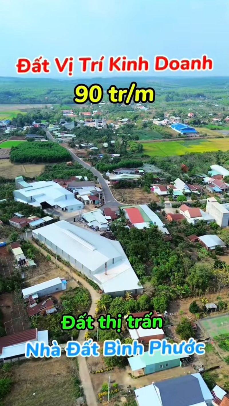 Slide 10