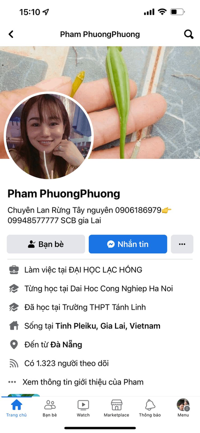  Hình ảnh