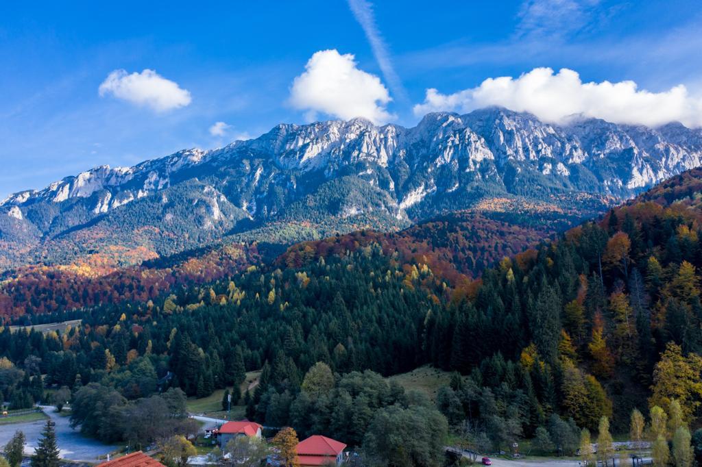 Mountain background