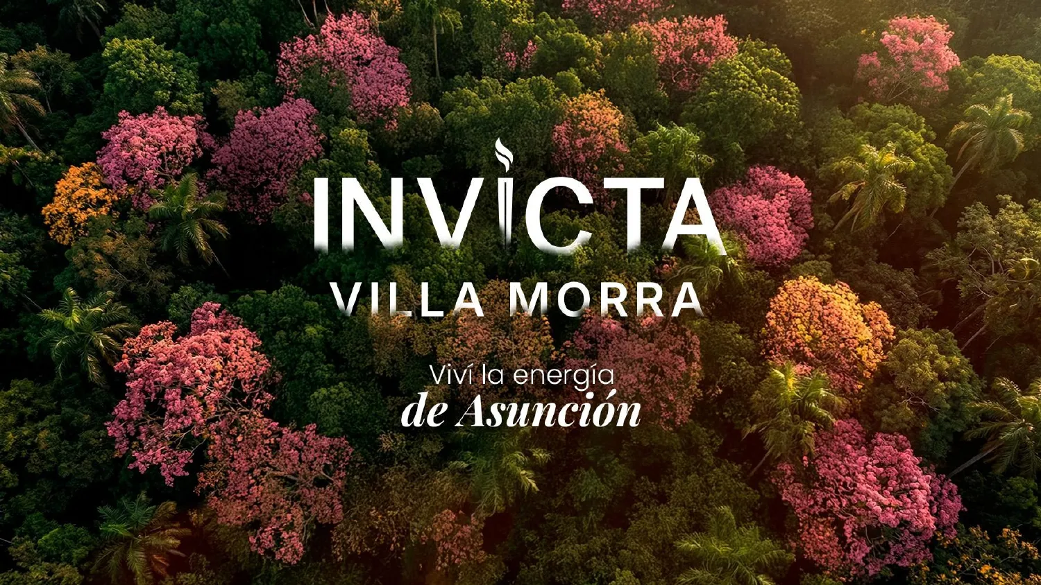 Invicta Villa Morra - 2