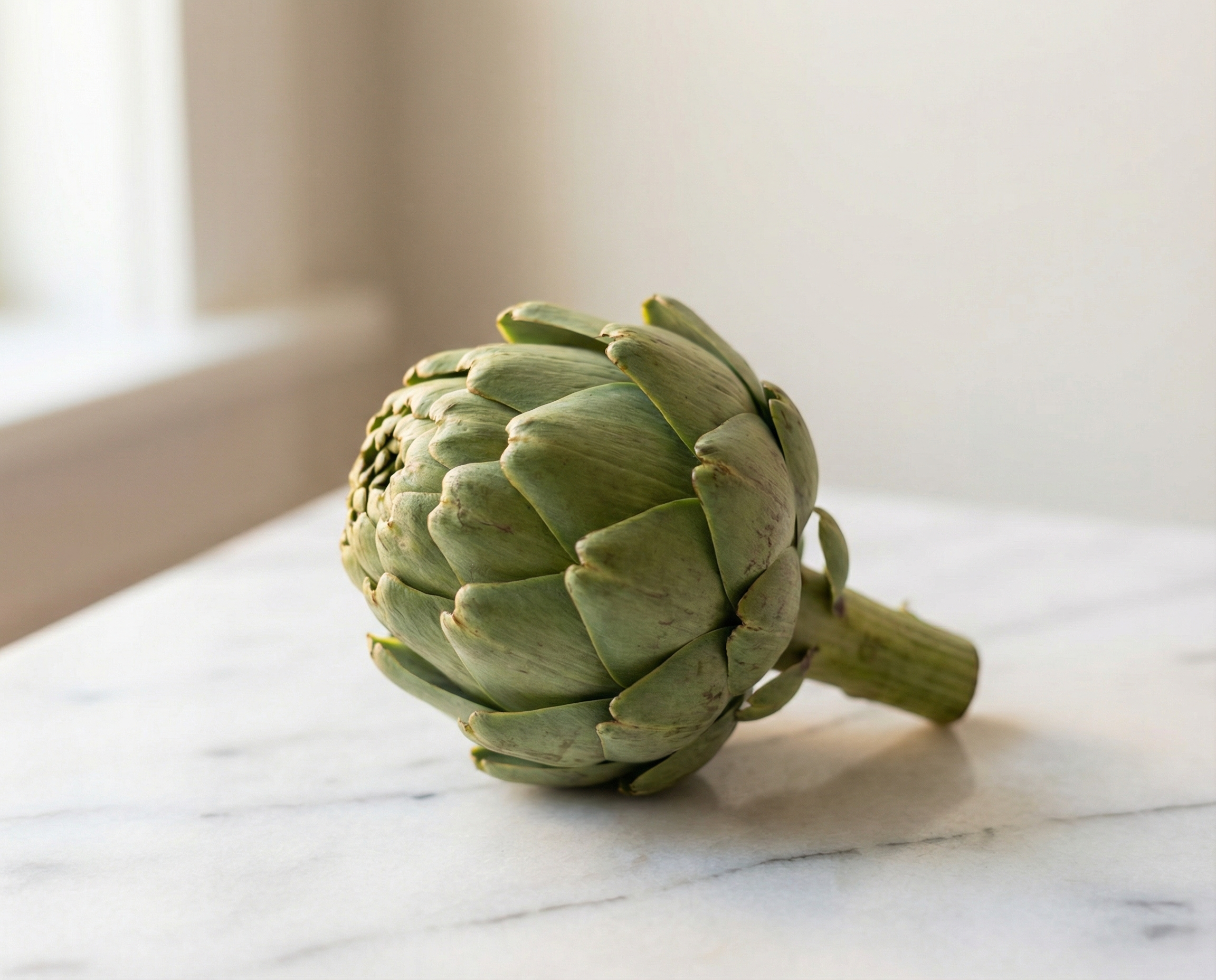 Artichoke