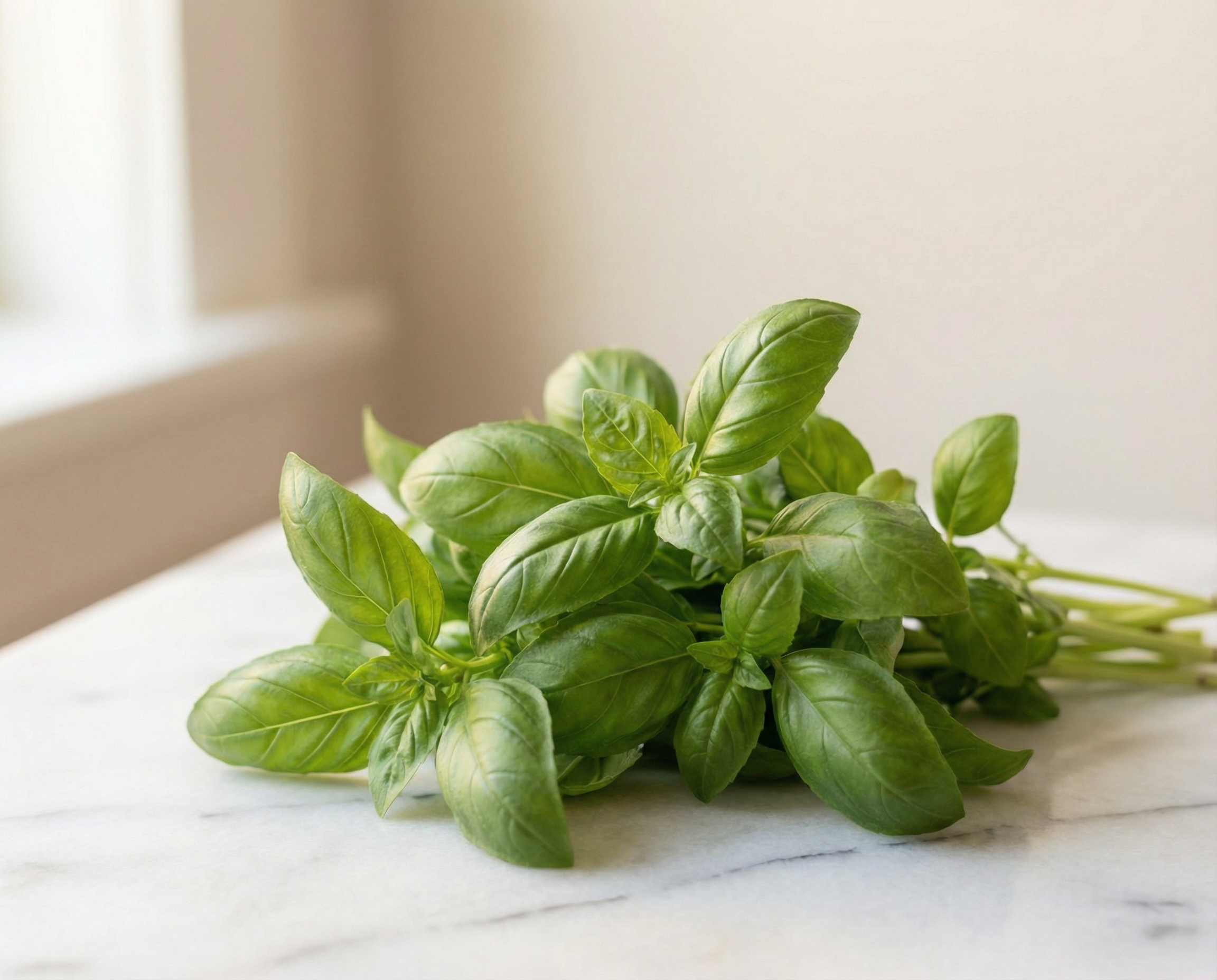 Basil