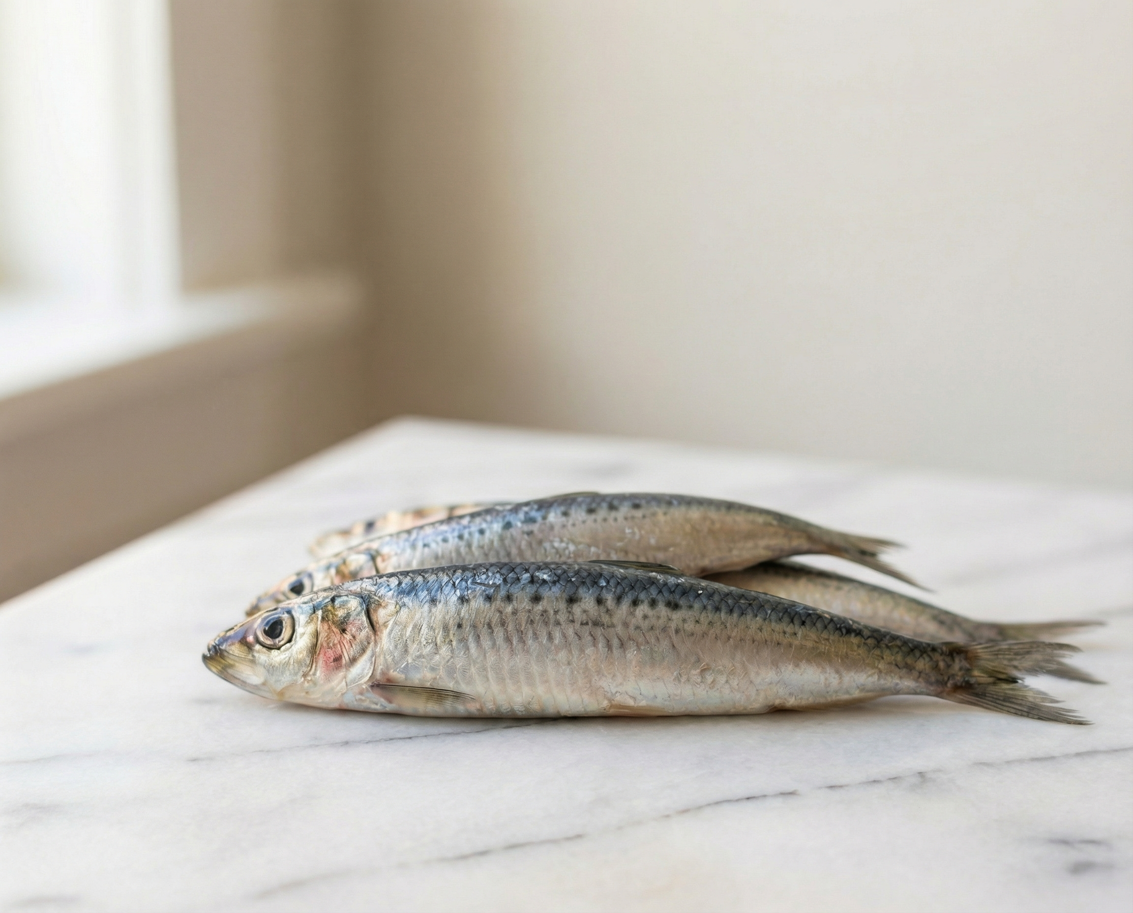 Sardines