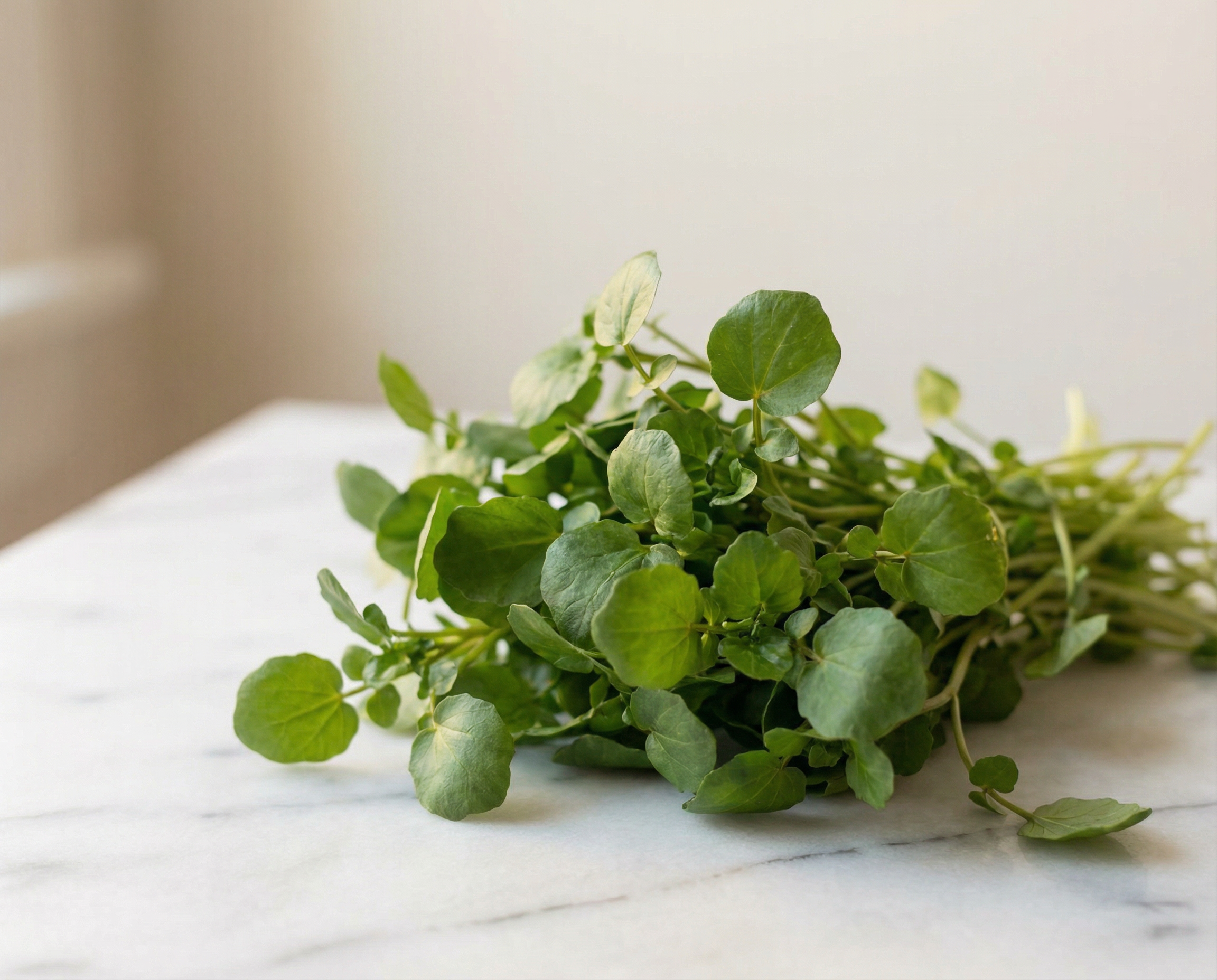 Watercress