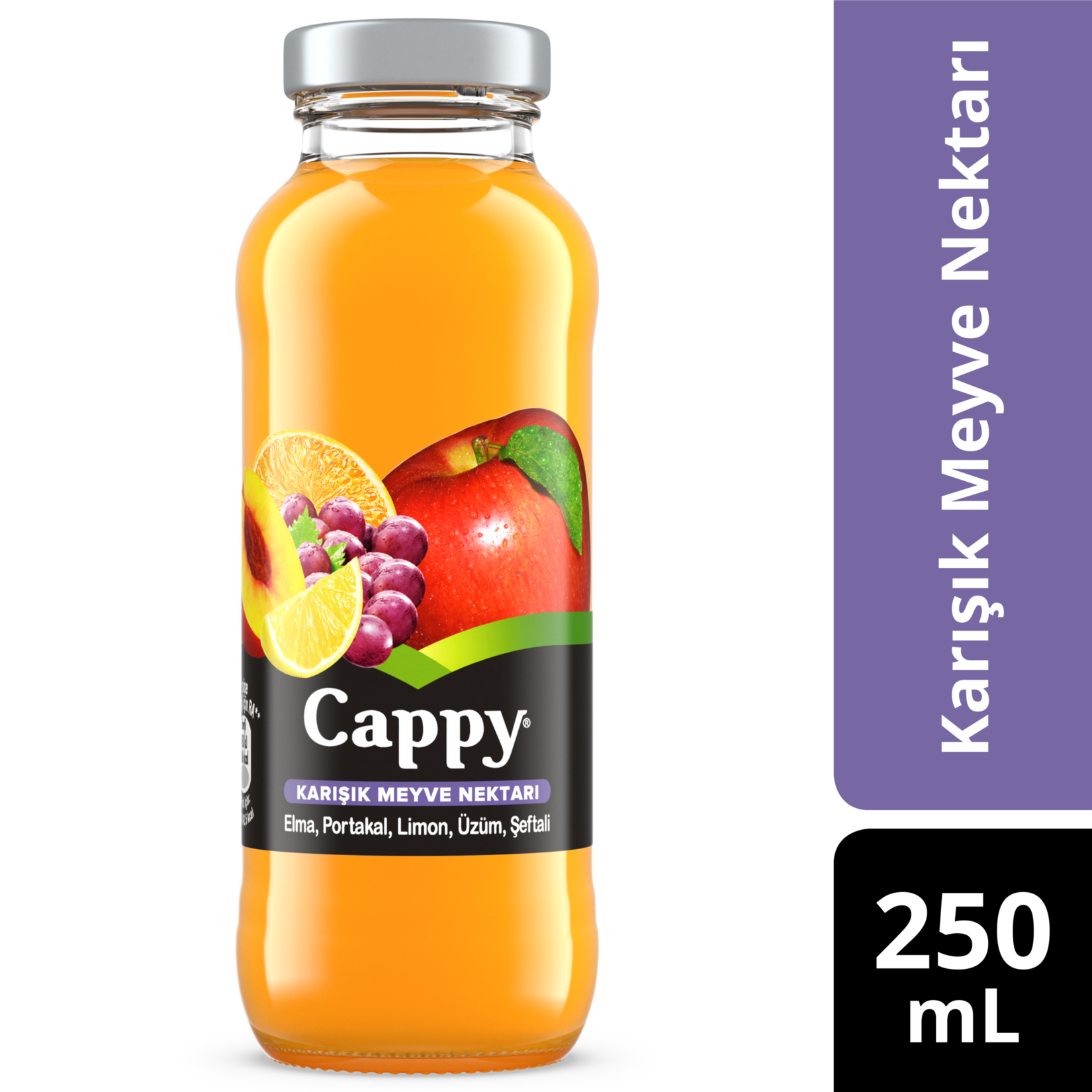 Cappy karışık 250 ml cam şişe
