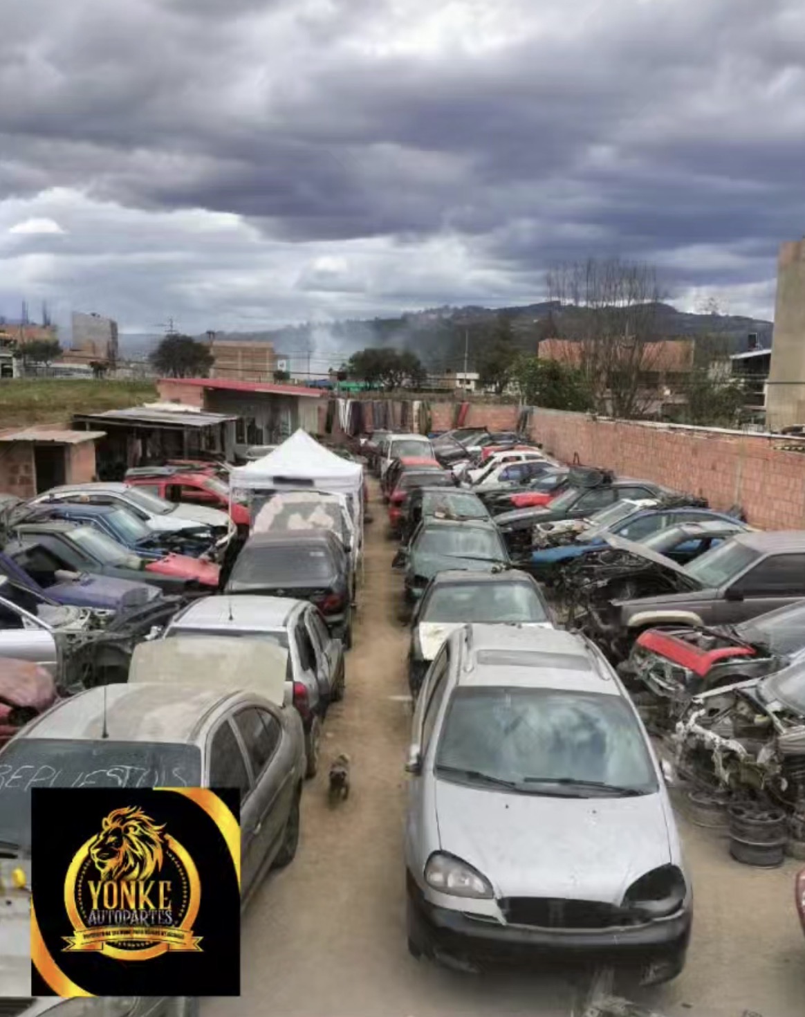 Cliente revisando un vehículo blanco para desarme frente a portón metálico