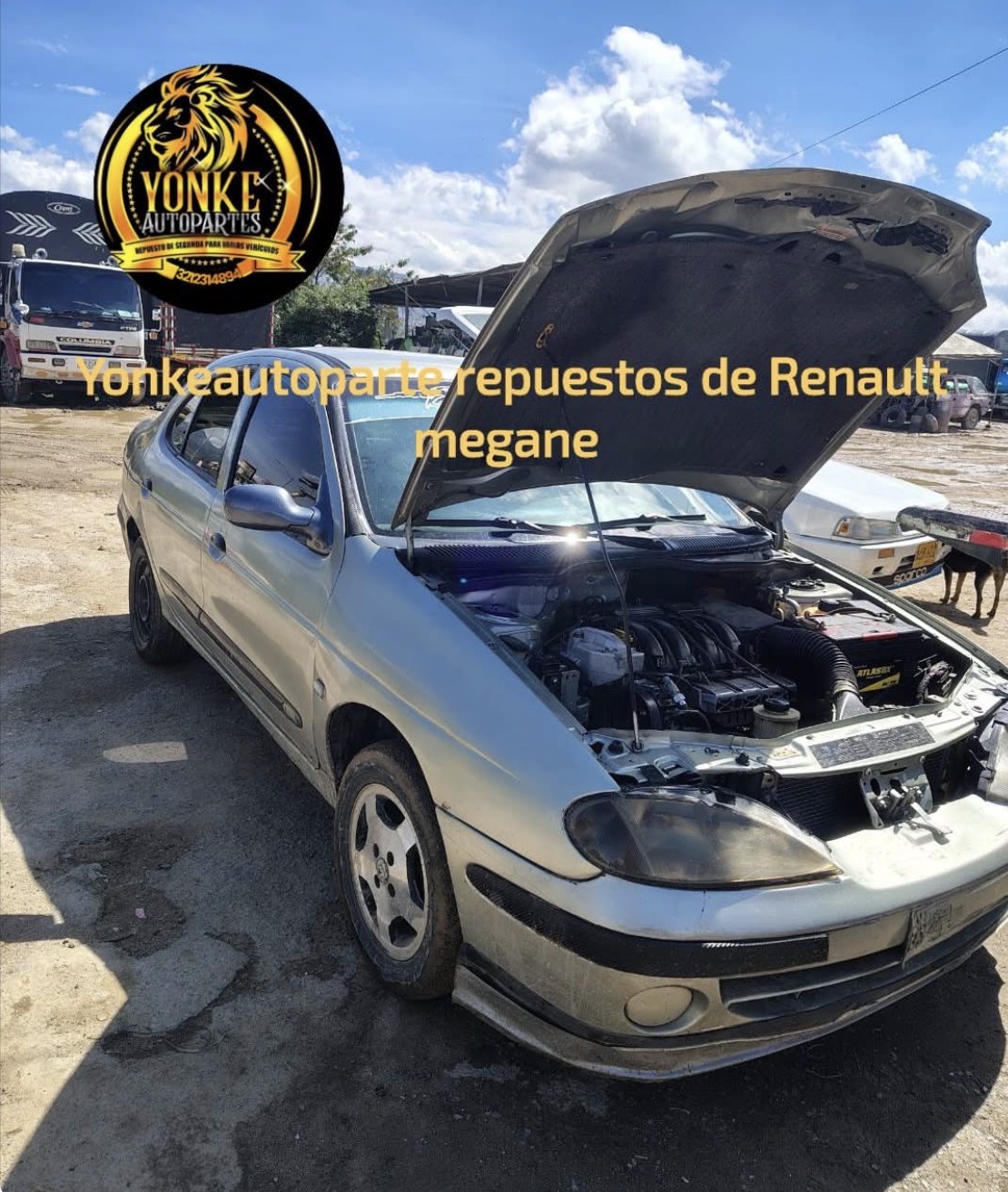 Vista general del patio de YONKEAUTOPARTES con múltiples vehículos alineados para desarme
