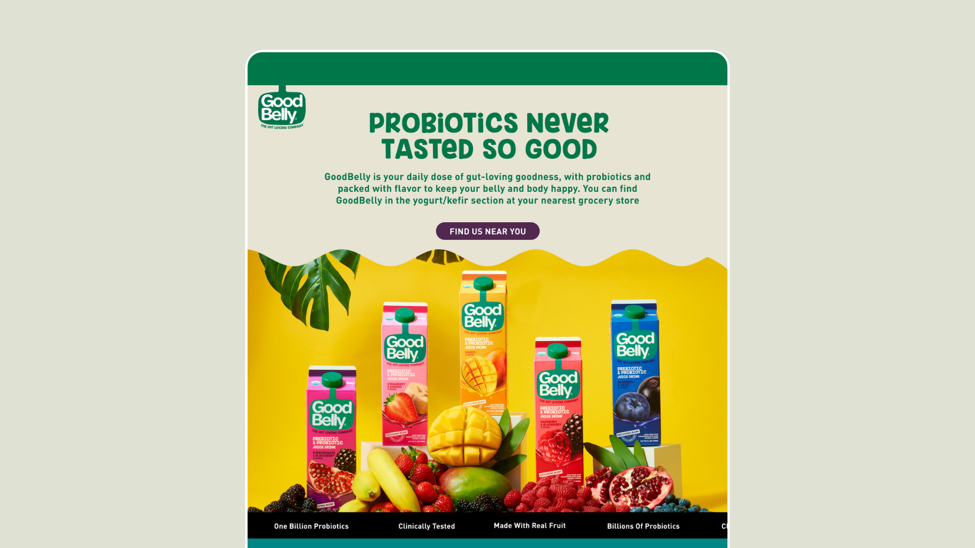 Imagen descriptiva del proyecto GoodBelly