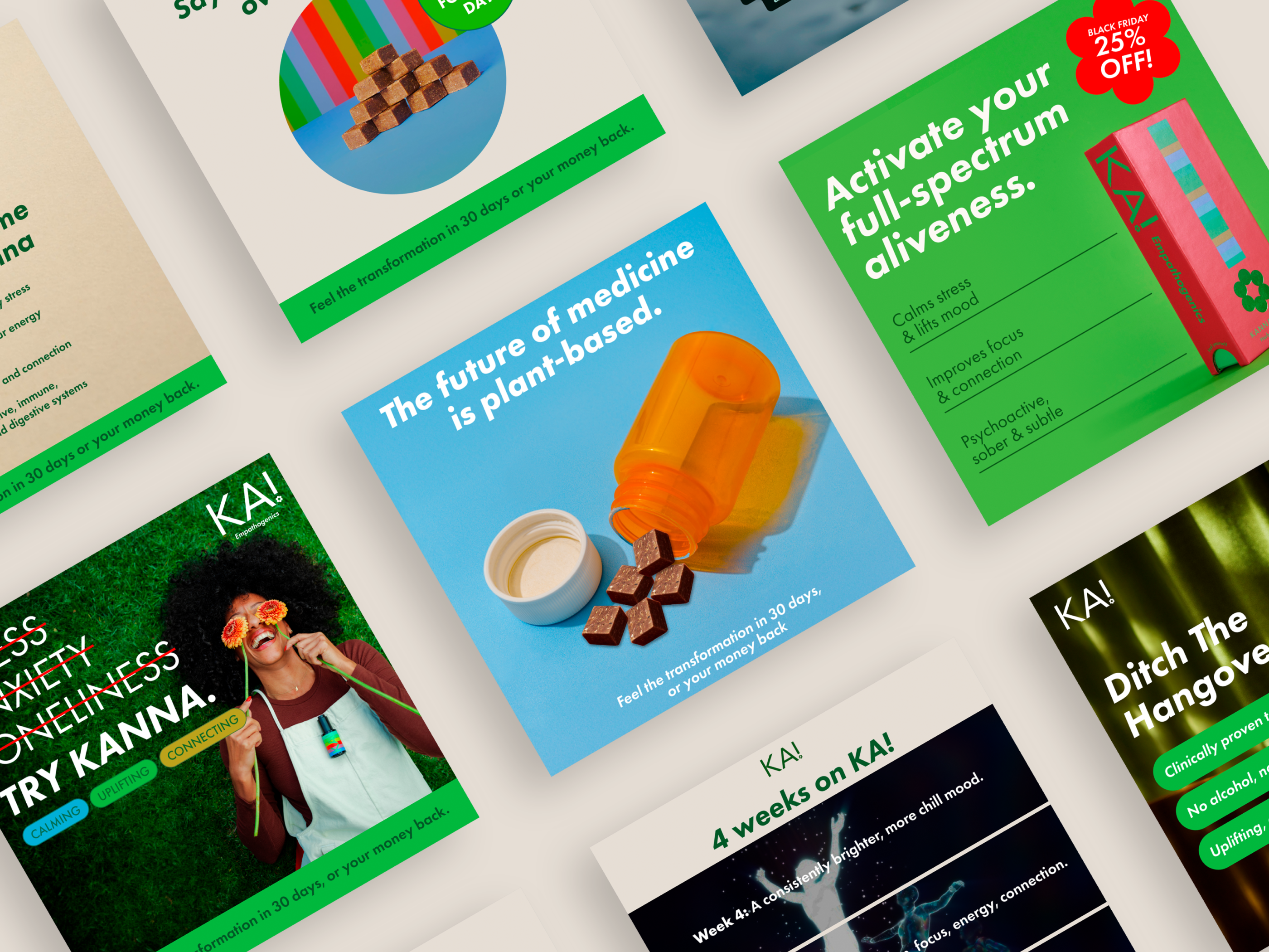 Imagen descriptiva del proyecto KA! Empathogenics