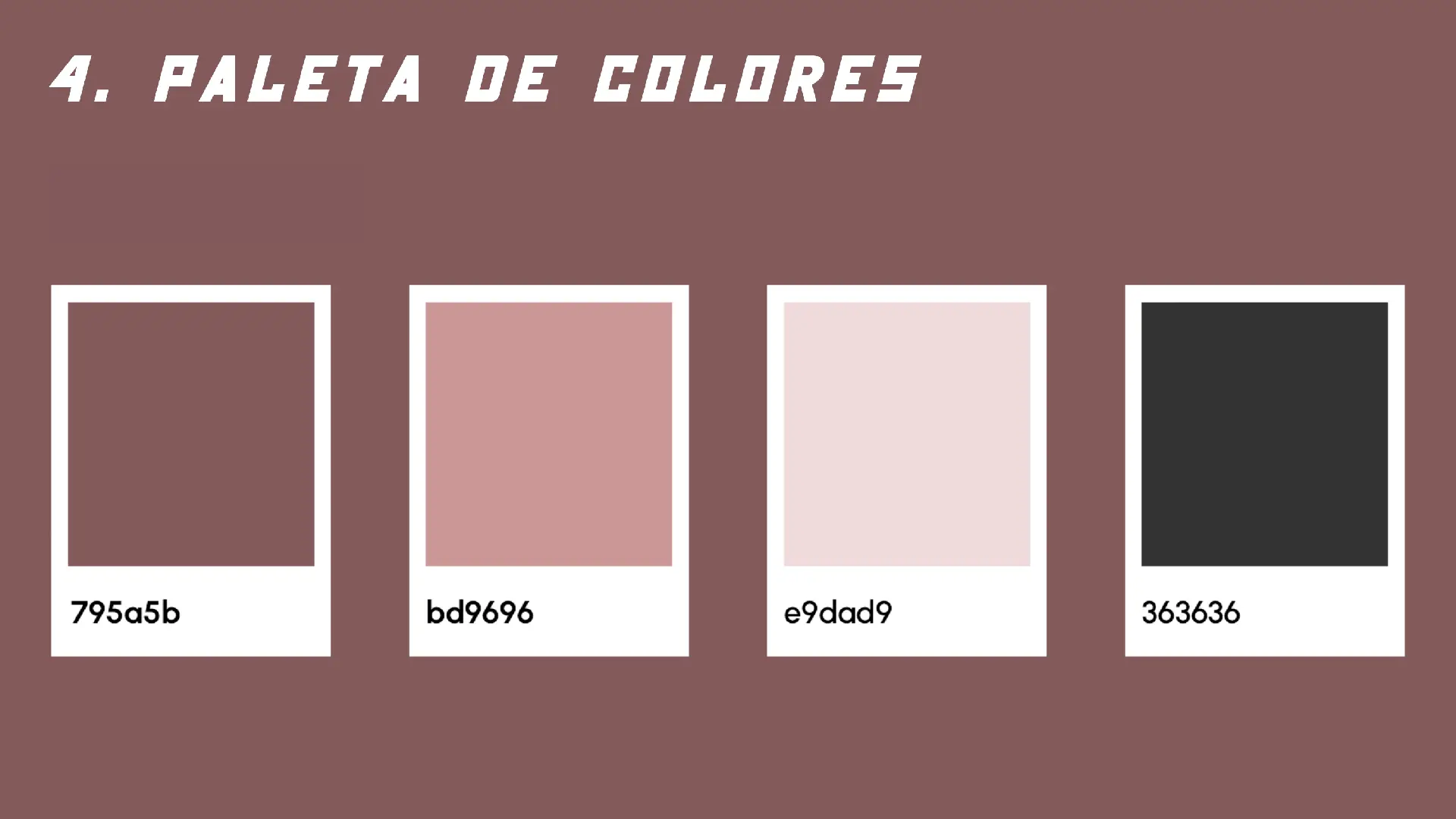 Foto descriptiva del proyecto mostrado